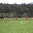 field1