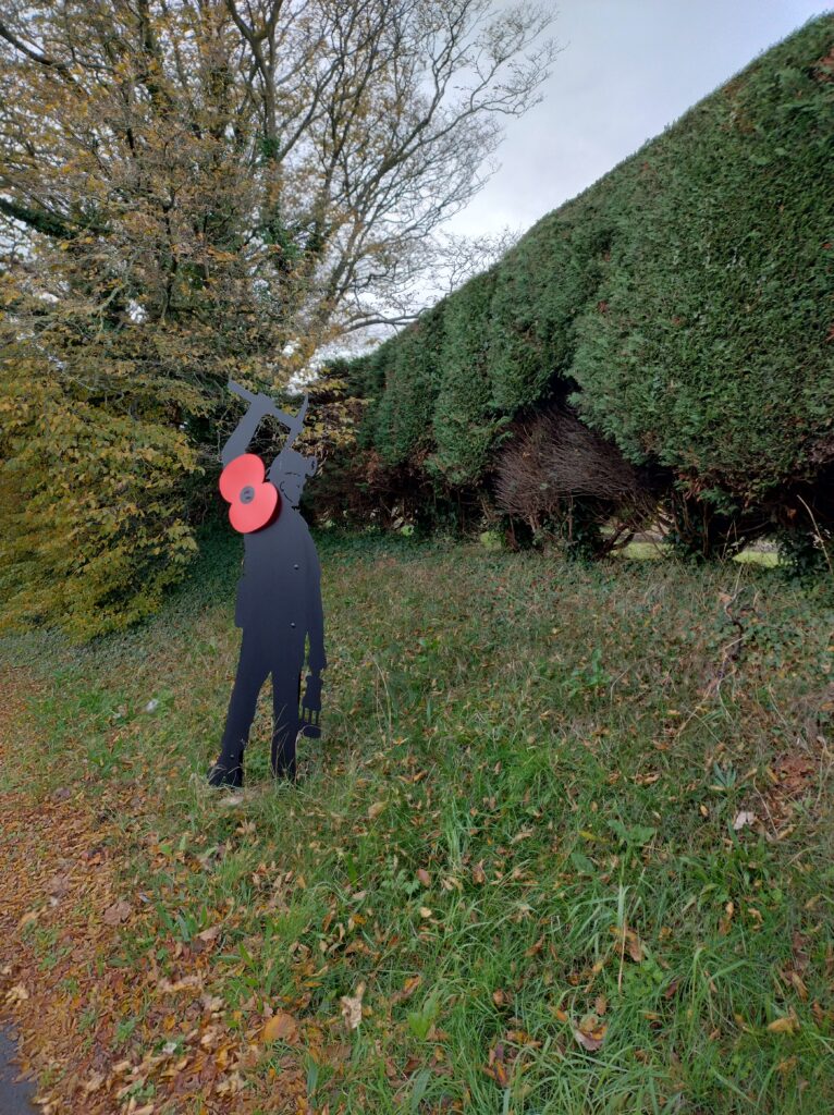 IMG 20251101 130413493 HDR